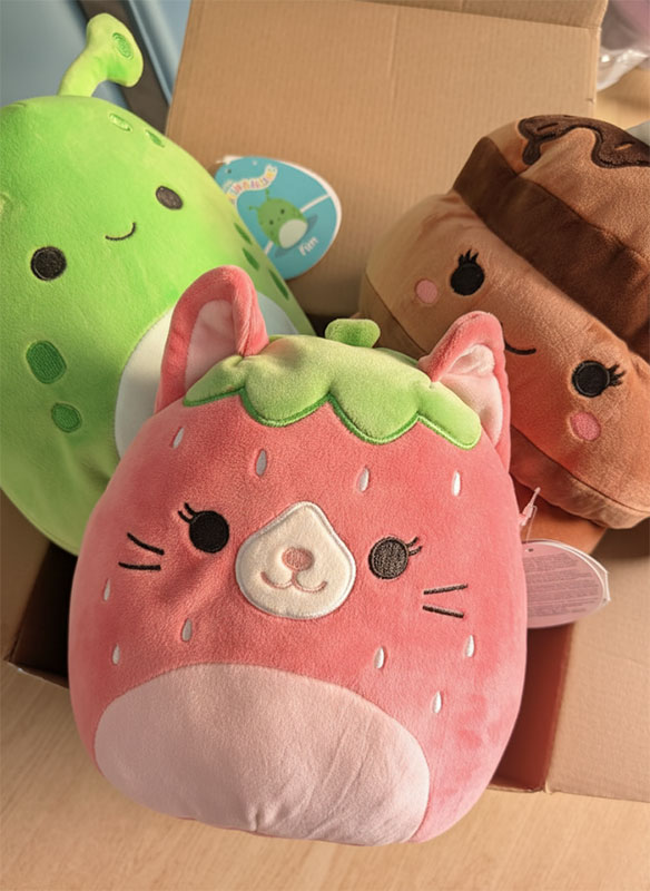3 naljučno izbrani Squishmallows Blind Box